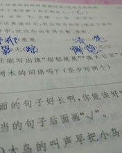 树的组词怎么写