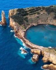 其加偏旁再组词(加偏旁再组词肖)