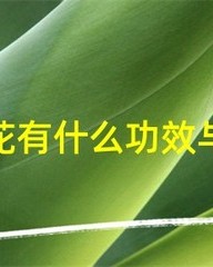 洋怎么组词(漾怎么组词)