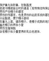 小度尿液的尿液怎么组词