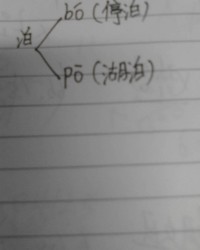 多音字组词泊(多音字组词泊怎么组词)