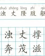 奔怎么组词(奔腾的奔怎么组词)