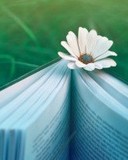 龟组词(龟组词和部首)