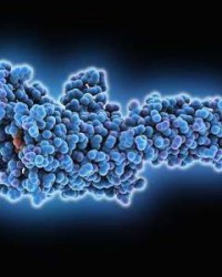 羊怎么组词(着怎么组词多音字)