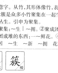 簇的组词拼音(簇的组词拼音部首)