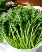 一百茼蒿怎么组词