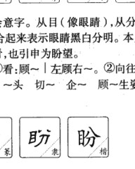 明字怎么组词(明的组词怎么写)