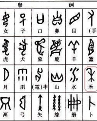 果实的果字怎么组词