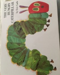 毛怎么组词(继怎么组词)