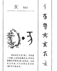 腿的组词怎么写(腿的组词是什么和拼音)