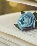 澎怎么组词(彭怎么组词)