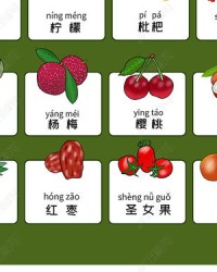 水果的拼音字怎么组词