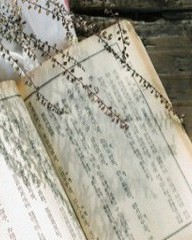 呛怎么组词(噎怎么组词)