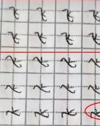 小度婴字怎么组词