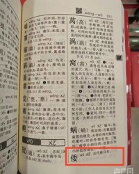 漕的组词(漕怎么组词?)