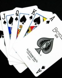 扑克都可以怎么组词