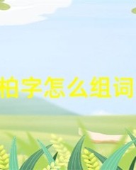 柏怎么组词语(柏怎么组词语和拼音)