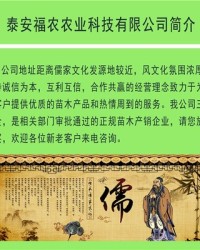 枝组词语(枝组词语和拼音怎么写的)