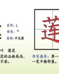 莲怎么组词(荷怎么组词)