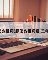 豚怎么组词(豚怎么组词语 三年级)