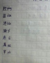 双字怎么组词