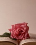 萦怎么组词(袢怎么组词)