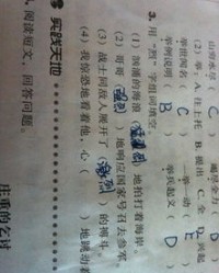 贡怎么组词填空