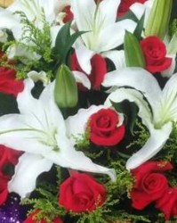 鲜花怎么写啊怎么组词