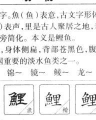 鲤的组词(鲤的组词怎么写)