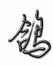 胳膊的鸽子怎么组词