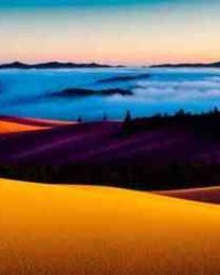 筛怎么组词(筛的组词怎么写)