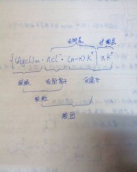 胶水的胶怎么写组词