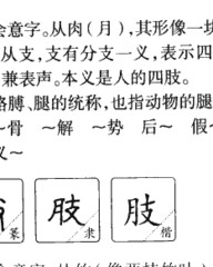 肢的组词(肢的组词是什么啊怎么写呀)