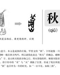 粘字多音字组词(粘多音字组词和拼音怎么写)