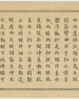 有游泳的有怎么组词