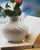 俯怎么组词(俯怎么组词多音字)