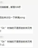 地读di是怎么组词