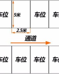 先停的停怎么组词