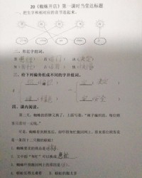 蜘组词拼音(蜘组词拼音部首)