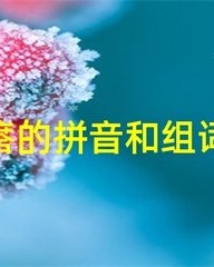 瘩的拼音和组词(瘩的拼音和组词和部首和结构)