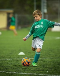 足球花的足怎么组词呀