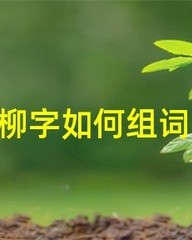 局怎么组词(局怎么组词组)