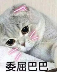 多么的猫可以怎么组词