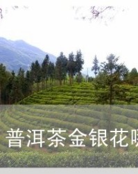 组词味(组词味道的味怎么组词)