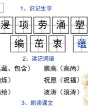 皆字组词