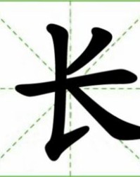 长字怎么组词