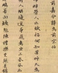 皂字组词(皂字组词怎么组)