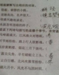 广告的告怎么写怎么组词