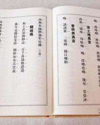 乐山大佛怎么组词和拼音