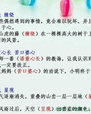 用希望怎么组词语